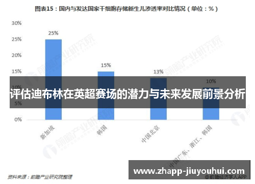 评估迪布林在英超赛场的潜力与未来发展前景分析